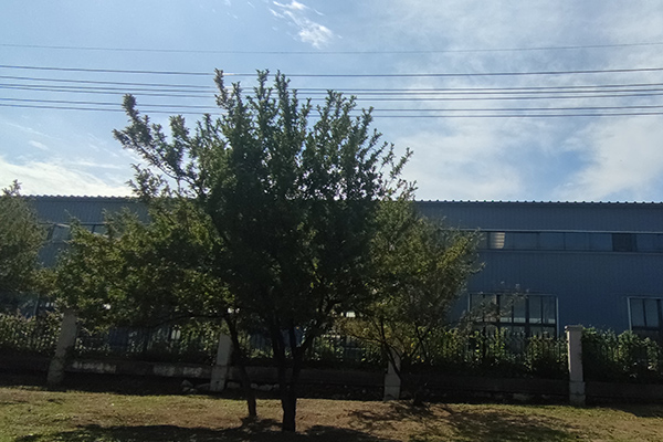 對于撫順鐵嶺沈陽彩鋼廠房的加工質(zhì)量檢測至關(guān)重要 對于撫順鐵嶺沈陽彩鋼廠房的加工質(zhì)量檢測至關(guān)重要